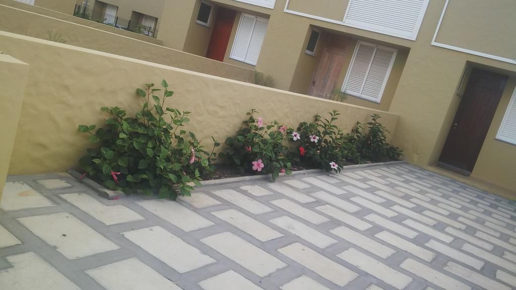Casa Miradouro Do Moinho Villa Letterkenny Dış mekan fotoğraf